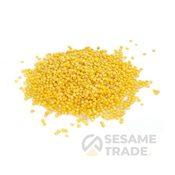 koles-hantolt-5kg-7125-c7q.jpg koles-hantolt-5kg-7125-c7q.jpg