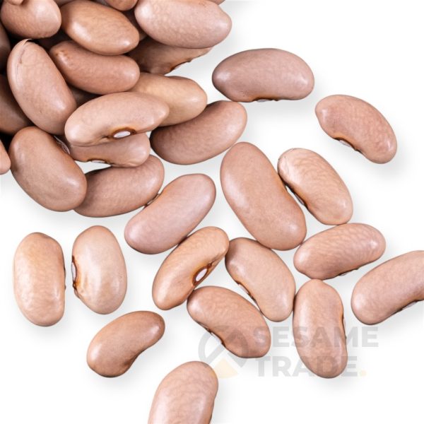 majbab-5-kg-6626-0xh.jpeg majbab-5-kg-6626-0xh.jpeg