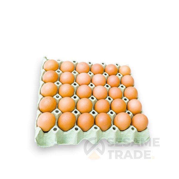tojas-m-fertotlenitett-240-dbkarton-9664-q2e.jpg